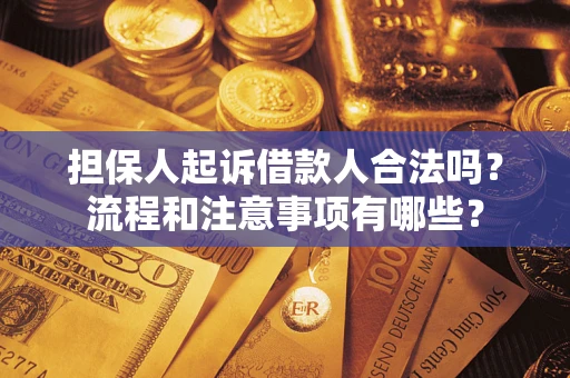 济南担保人起诉借款人合法吗？流程和注意事项有哪些？