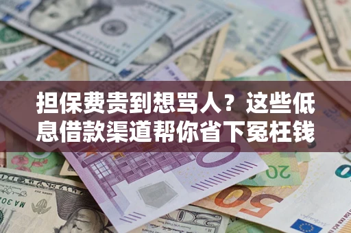 济南担保费贵到想骂人？这些低息借款渠道帮你省下冤枉钱