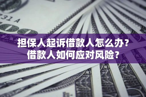济南担保人起诉借款人怎么办？借款人如何应对风险？